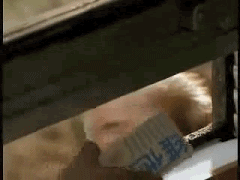 真实的二胎家庭（五年四胎从被包养）(18)