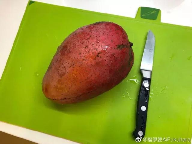 谁把福原爱打哭了谁负责哄什么梗(福原爱和向佐有一拼......)(5)