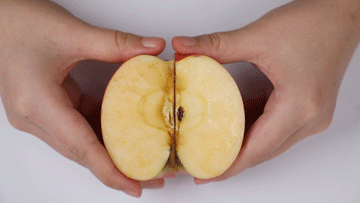 谁把福原爱打哭了谁负责哄什么梗(福原爱和向佐有一拼......)(27)