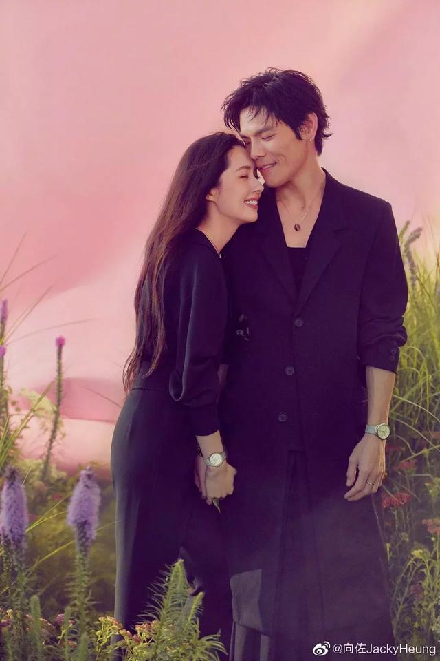 谁把福原爱打哭了谁负责哄什么梗(福原爱和向佐有一拼......)(11)