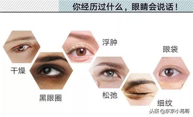 便宜超好用的六款眼霜（最值得入手的八款日系热销平价眼霜）(5)