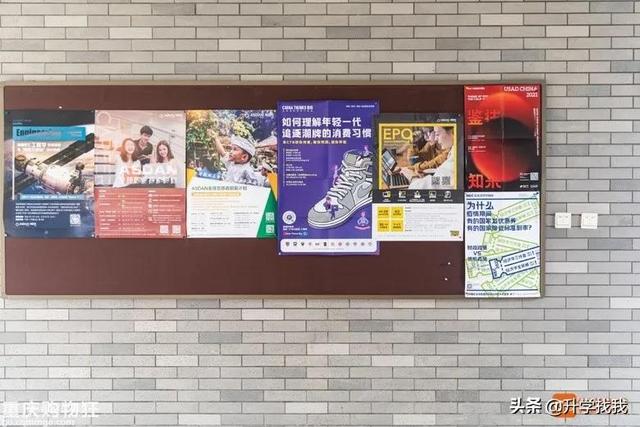 重庆一中哪个分校最好（在重庆一中分校上了一天课）(34)