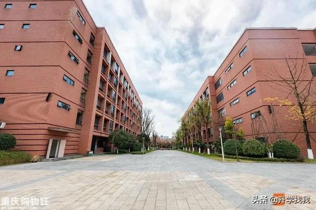 重庆一中哪个分校最好（在重庆一中分校上了一天课）(5)