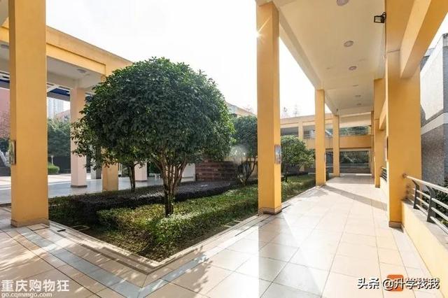 重庆一中哪个分校最好（在重庆一中分校上了一天课）(16)
