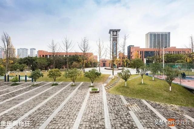 重庆一中哪个分校最好（在重庆一中分校上了一天课）(29)