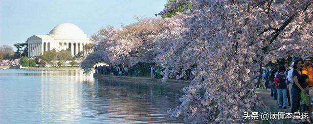 日本人如何看待美日关系（日本左派反美右派谄美）(1)