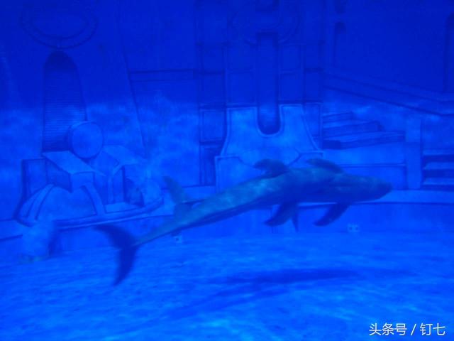 天津海昌极地海洋世界具体位置（天津海昌极地海底世界超实用攻略）(12)