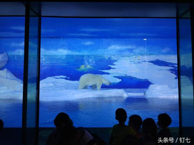 天津海昌极地海洋世界具体位置（天津海昌极地海底世界超实用攻略）(2)