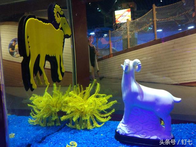 天津海昌极地海洋世界具体位置（天津海昌极地海底世界超实用攻略）(17)