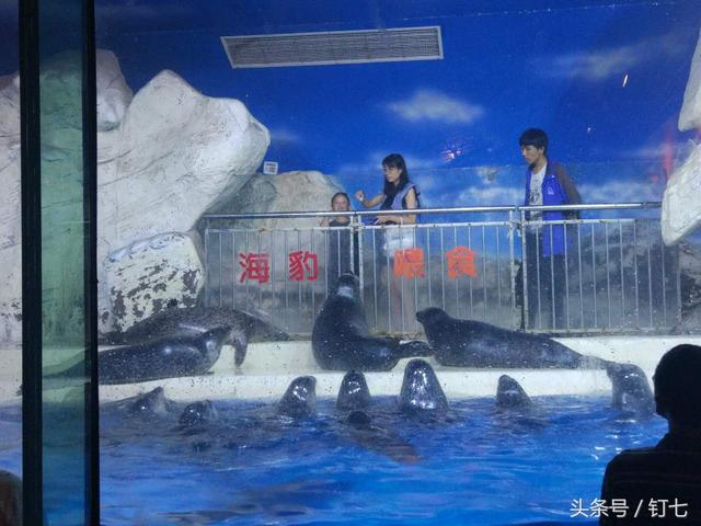 天津海昌极地海洋世界具体位置（天津海昌极地海底世界超实用攻略）(7)