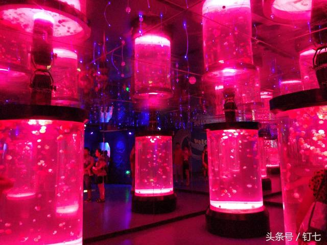 天津海昌极地海洋世界具体位置（天津海昌极地海底世界超实用攻略）(27)