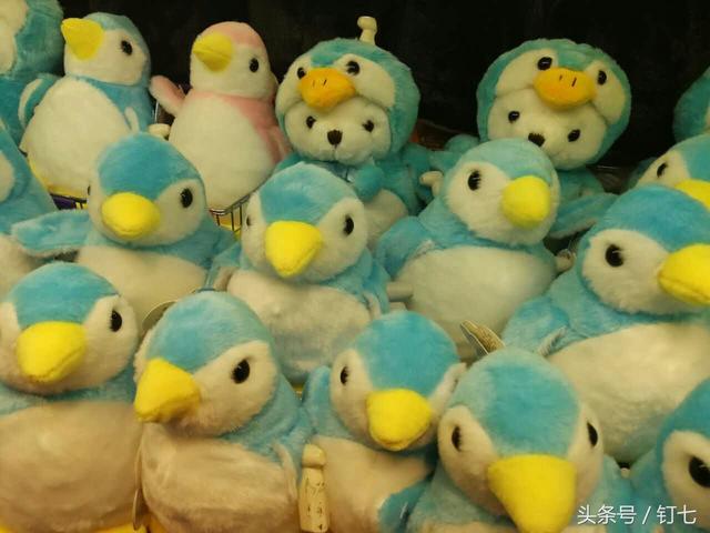 天津海昌极地海洋世界具体位置（天津海昌极地海底世界超实用攻略）(34)