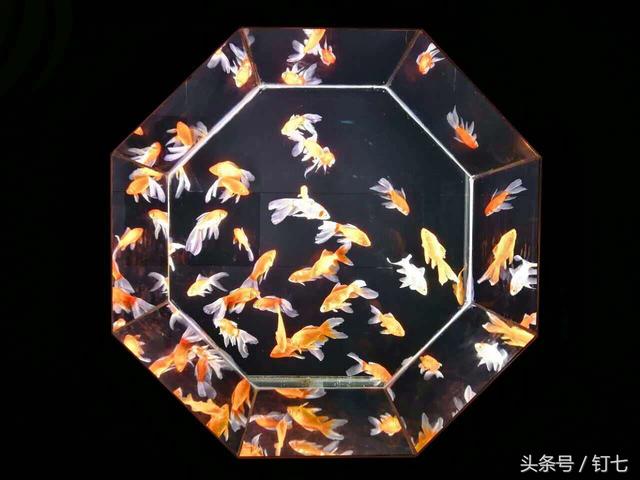 天津海昌极地海洋世界具体位置（天津海昌极地海底世界超实用攻略）(10)