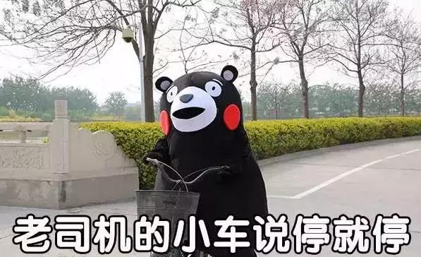 重庆水上乐园攻略（重庆水上乐园集合）(2)