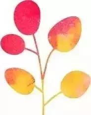 重庆水上乐园攻略（重庆水上乐园集合）(19)