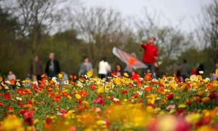 春分的中国传统习俗,春分时节图18