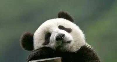 春分的中国传统习俗,春分时节图19