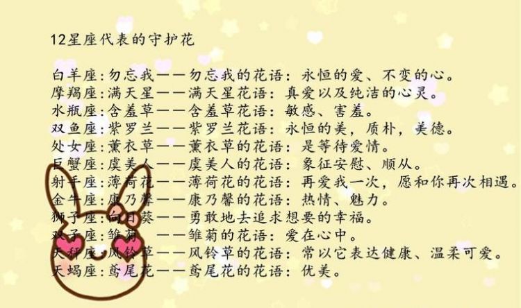 星座专属精灵宝可梦