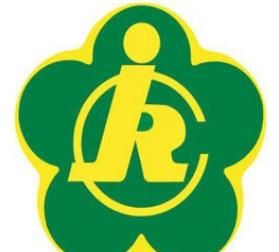 国际残疾人日是几月几日，国际残疾人日是几月几日？全国爱耳日、全国爱眼日和全国爱牙日呢？图4