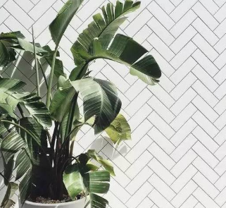 去除新床垫味道小妙招,新买的床垫气味很重怎么办?图6