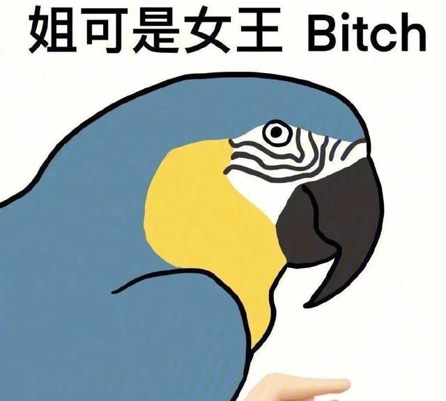 有一句话让你笑到流泪(小品一句话说的让人笑翻全场)图1