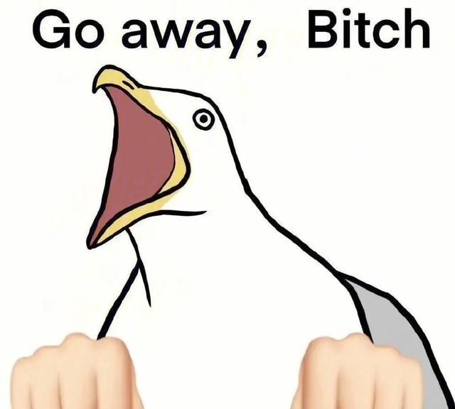 有一句话让你笑到流泪(小品一句话说的让人笑翻全场)图5