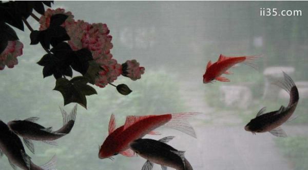 成都特色适合送外省人的礼物,成都能带走的十大特产图7