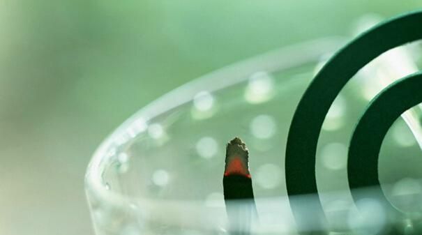 灭蚊子最有效的方法，大面积灭蚊子最有效的方法？图6