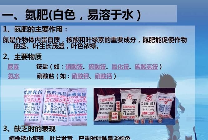 氮肥是干什么用的