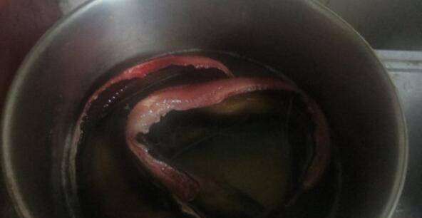 黄鳝怎么做好吃,黄鳝怎么做好吃图2