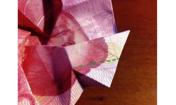 如何折玫瑰花，如何用百元大钞折玫瑰花？图43