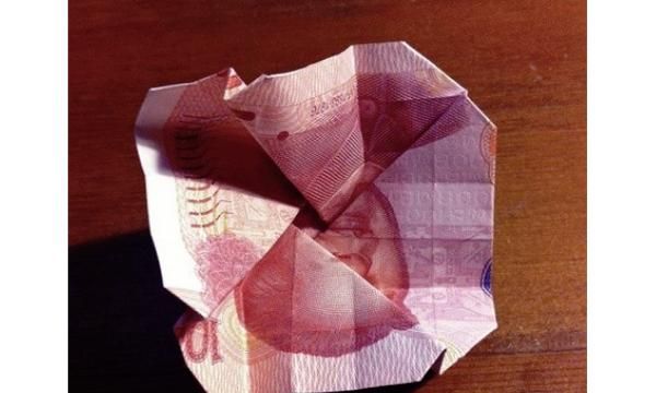 如何折玫瑰花，如何用百元大钞折玫瑰花？图41