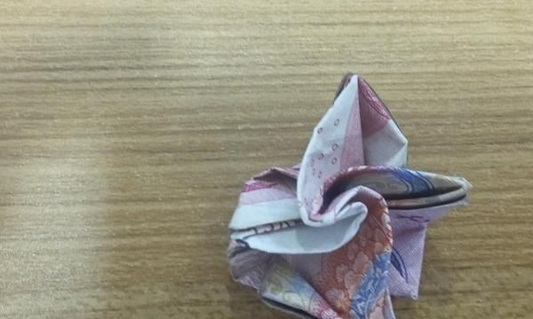 如何折玫瑰花，如何用百元大钞折玫瑰花？图17