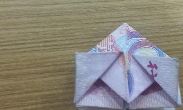 如何折玫瑰花，如何用百元大钞折玫瑰花？图10