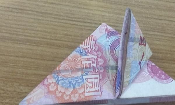 如何折玫瑰花，如何用百元大钞折玫瑰花？图5