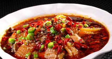 粤菜代表菜有哪些,粤菜的代表菜有哪些图8