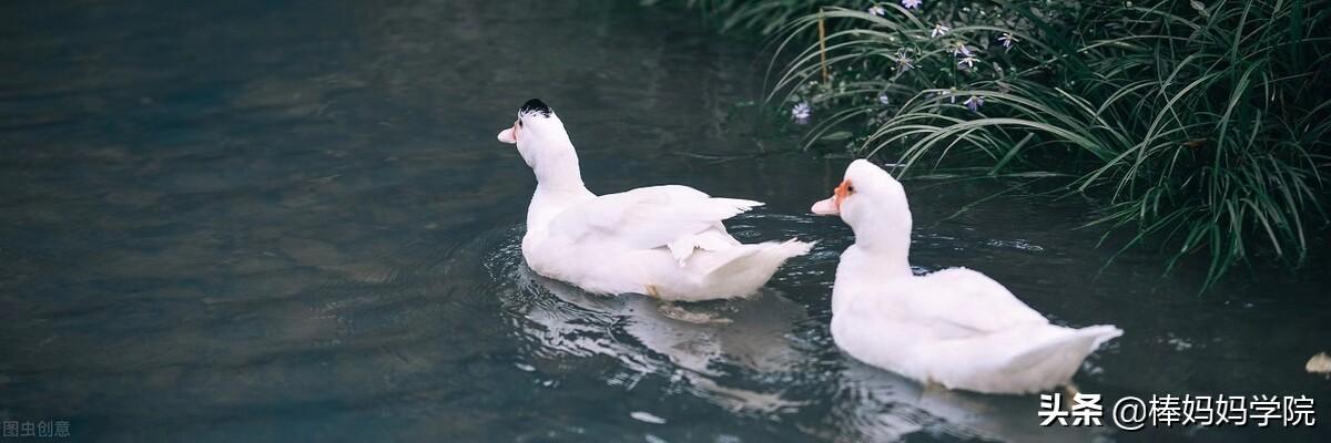 快速提升阅读能力的捷径(读书学习只花时间还不够)(7)