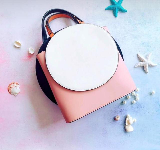 现在流行的轻奢包（五款轻奢小众手提包）(7)