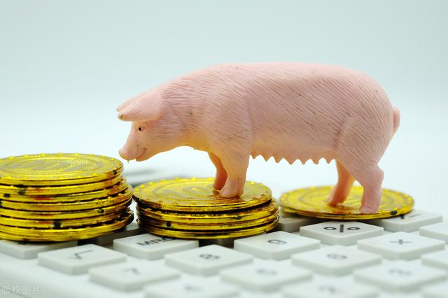 未来10天猪价走势（猪价行情低迷飞天猪）(3)