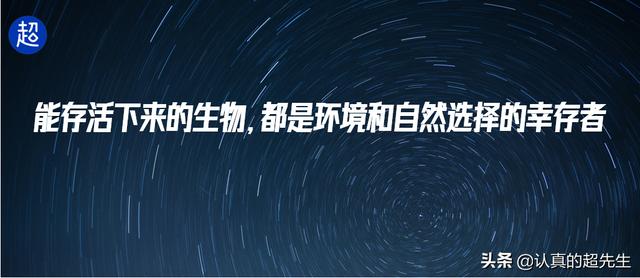 黑莓手机好用吗质量好吗（地表最强安全手机）(2)