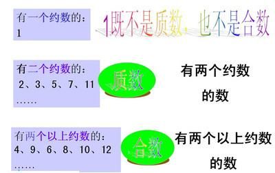 质数和合数,质数和合数是什么图4