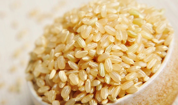 糙米是大米,糙米和大米的区别是差在哪里图2