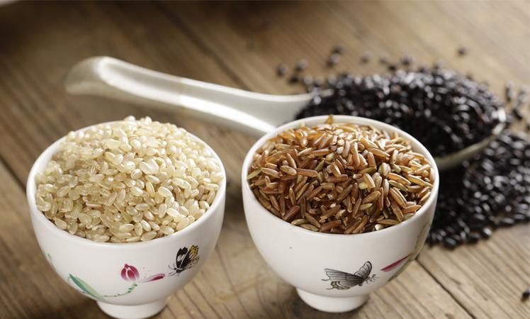 糙米和大米有什么差别