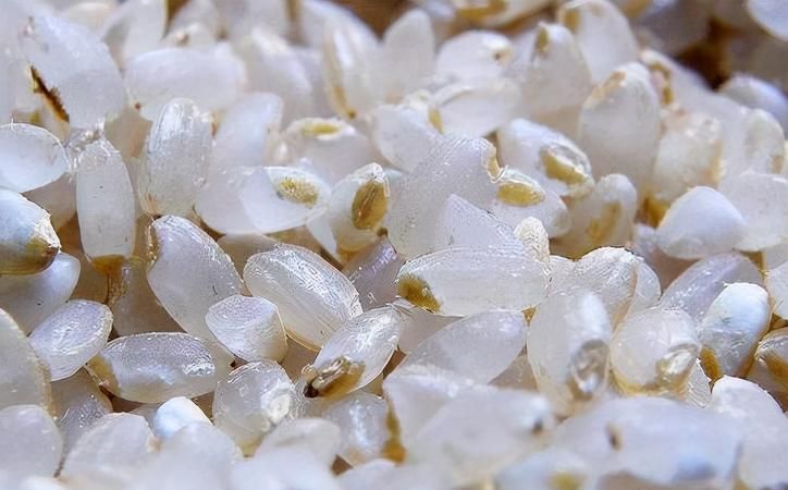 糙米是大米的一种吗