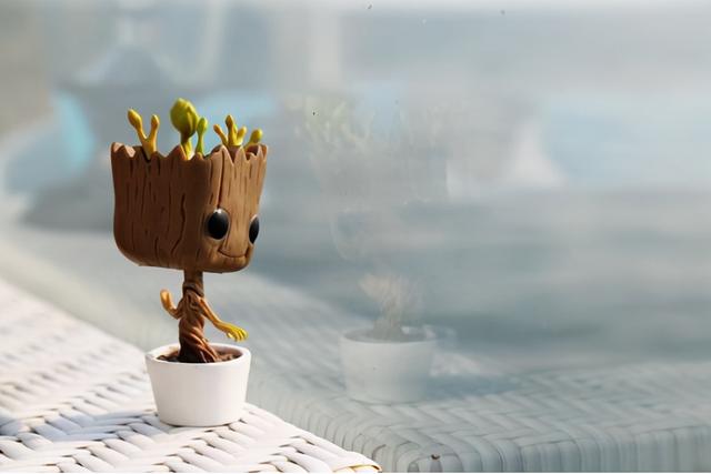 拜托小姐尹恩惠衣橱（尹恩惠豪宅首曝光）(8)