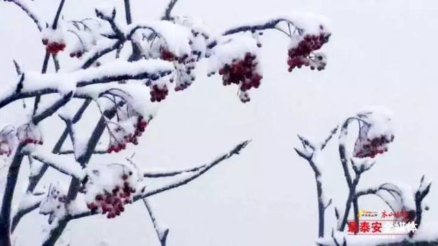泰山免费门票到什么时候（泰山执行淡季票价）(6)