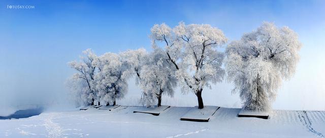 冬季旅游景点推荐（推荐国内冬季旅游10大去处）(19)