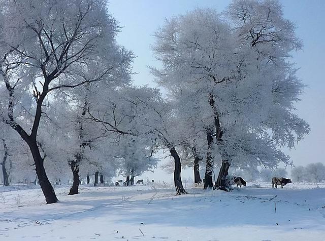 冬季旅游景点推荐（推荐国内冬季旅游10大去处）(16)