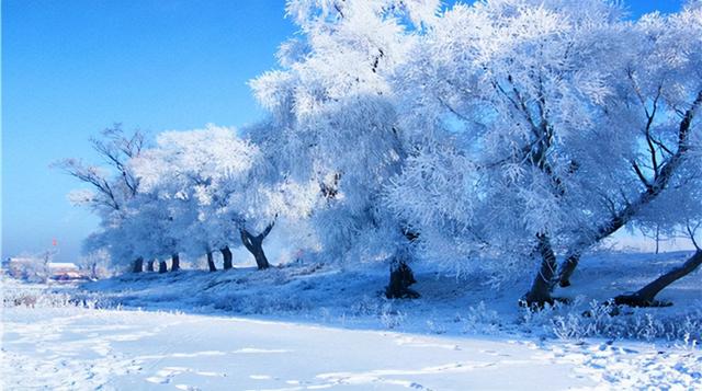 冬季旅游景点推荐（推荐国内冬季旅游10大去处）(18)