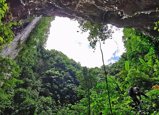 广西19个巨型天坑（广西发现巨大天坑）(11)